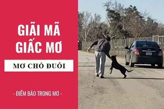 Mơ thấy chó đuổi