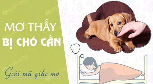 Nằm mơ thấy chó cắn vào chân không chảy máu